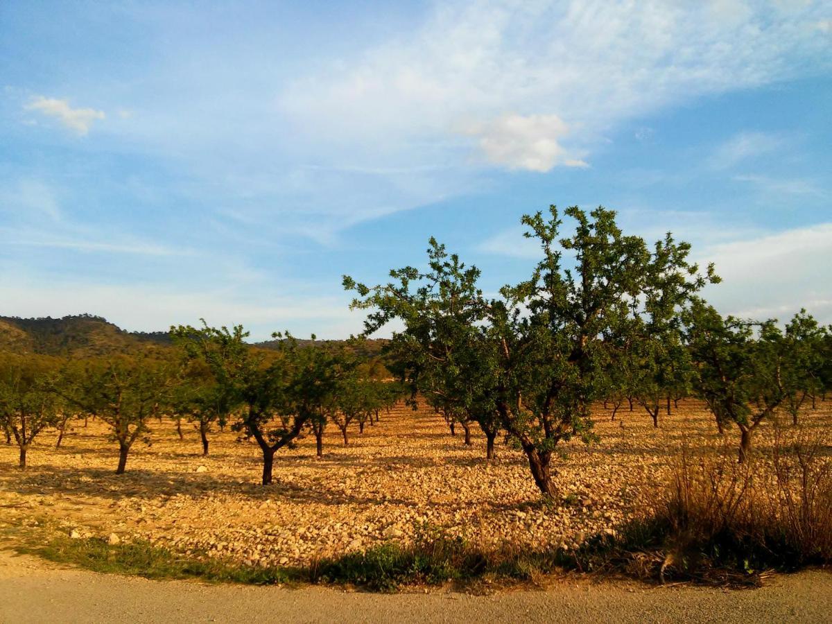 Casa Rural El Carmen De La Sierra เย-กลา ภายนอก รูปภาพ